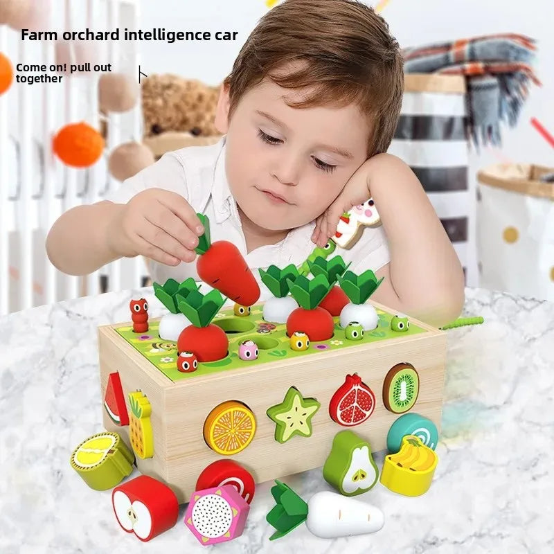 Wooden Shape Sorter Toy Baby Educational Blocks Pull Along Learning Trailer Box
