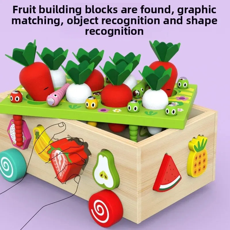 Wooden Shape Sorter Toy Baby Educational Blocks Pull Along Learning Trailer Box