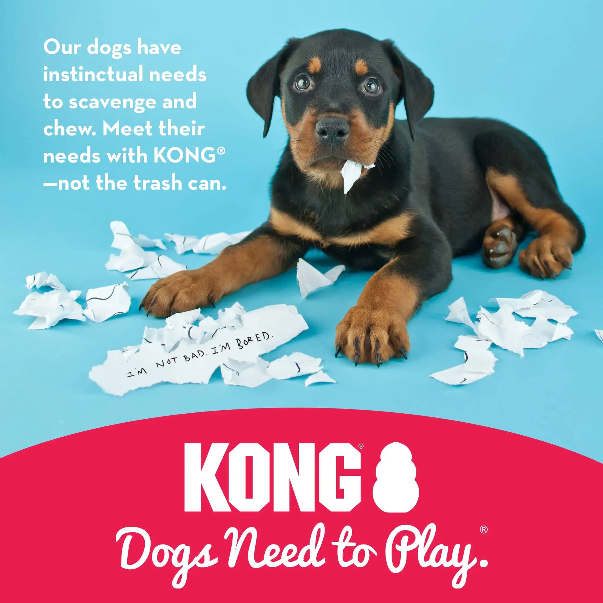 KONG Puppy Teething Toy  Natural Rubber for Chewing Fetching & Play